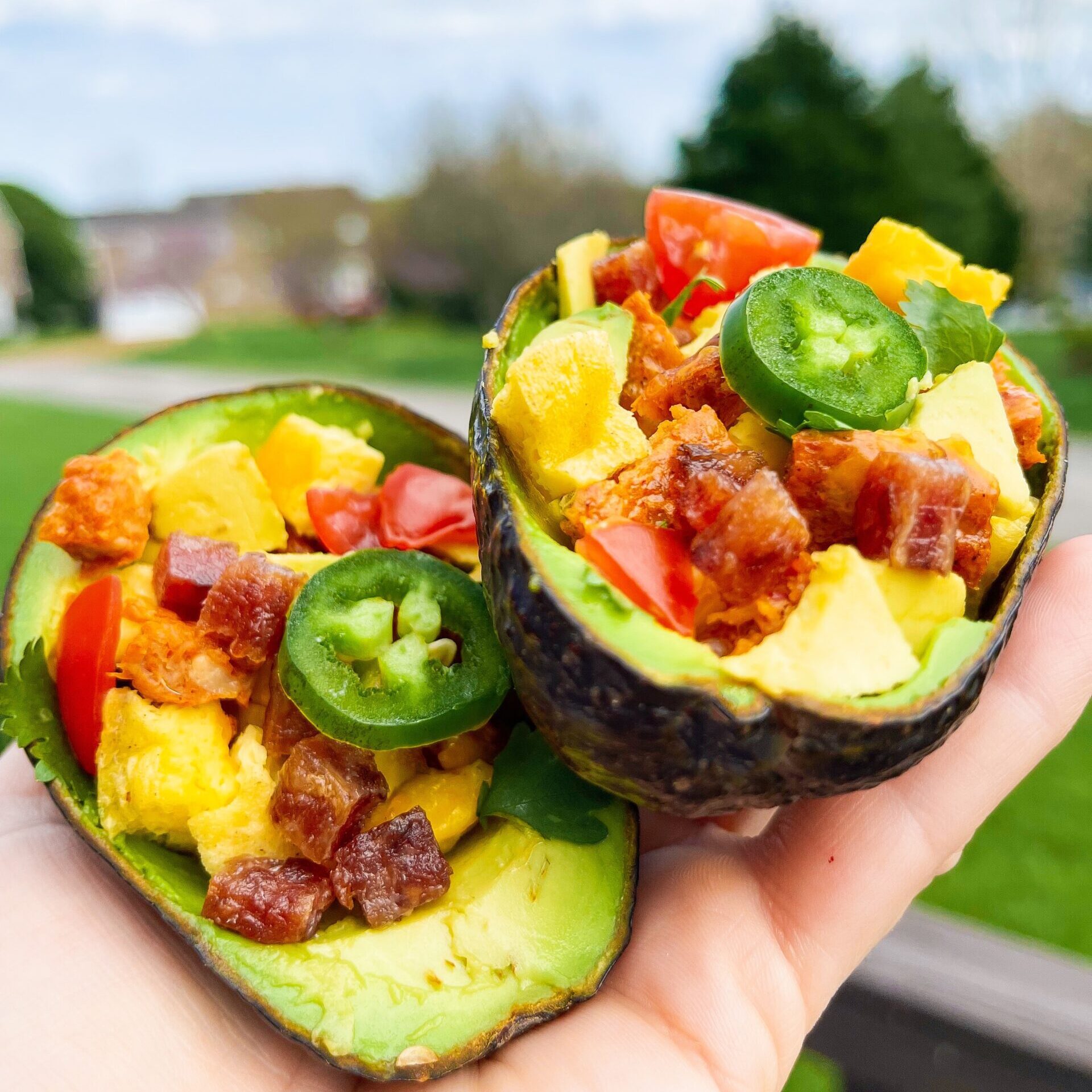 Egg'Wich Avocado Boats